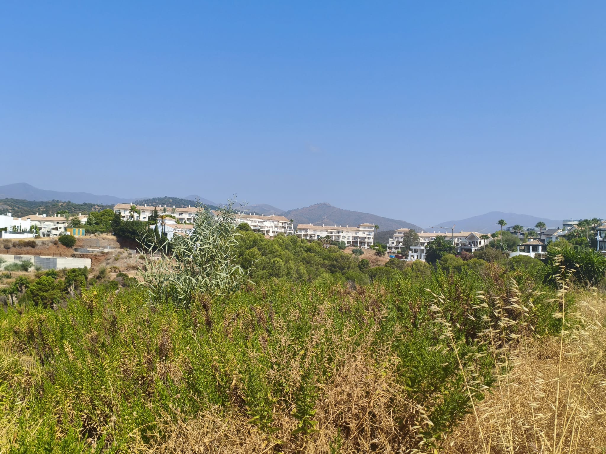 Estepona